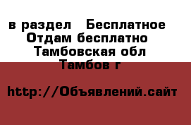  в раздел : Бесплатное » Отдам бесплатно . Тамбовская обл.,Тамбов г.